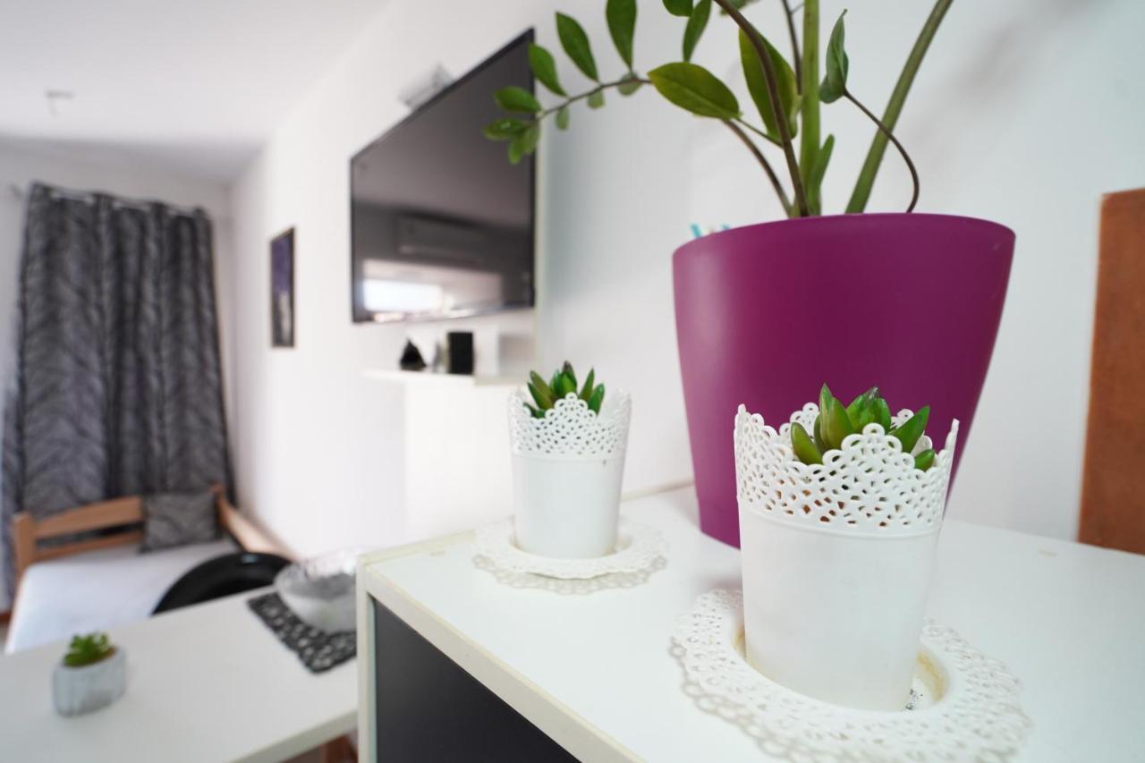 Iva Studio-Apartment Kladovo Buitenkant foto