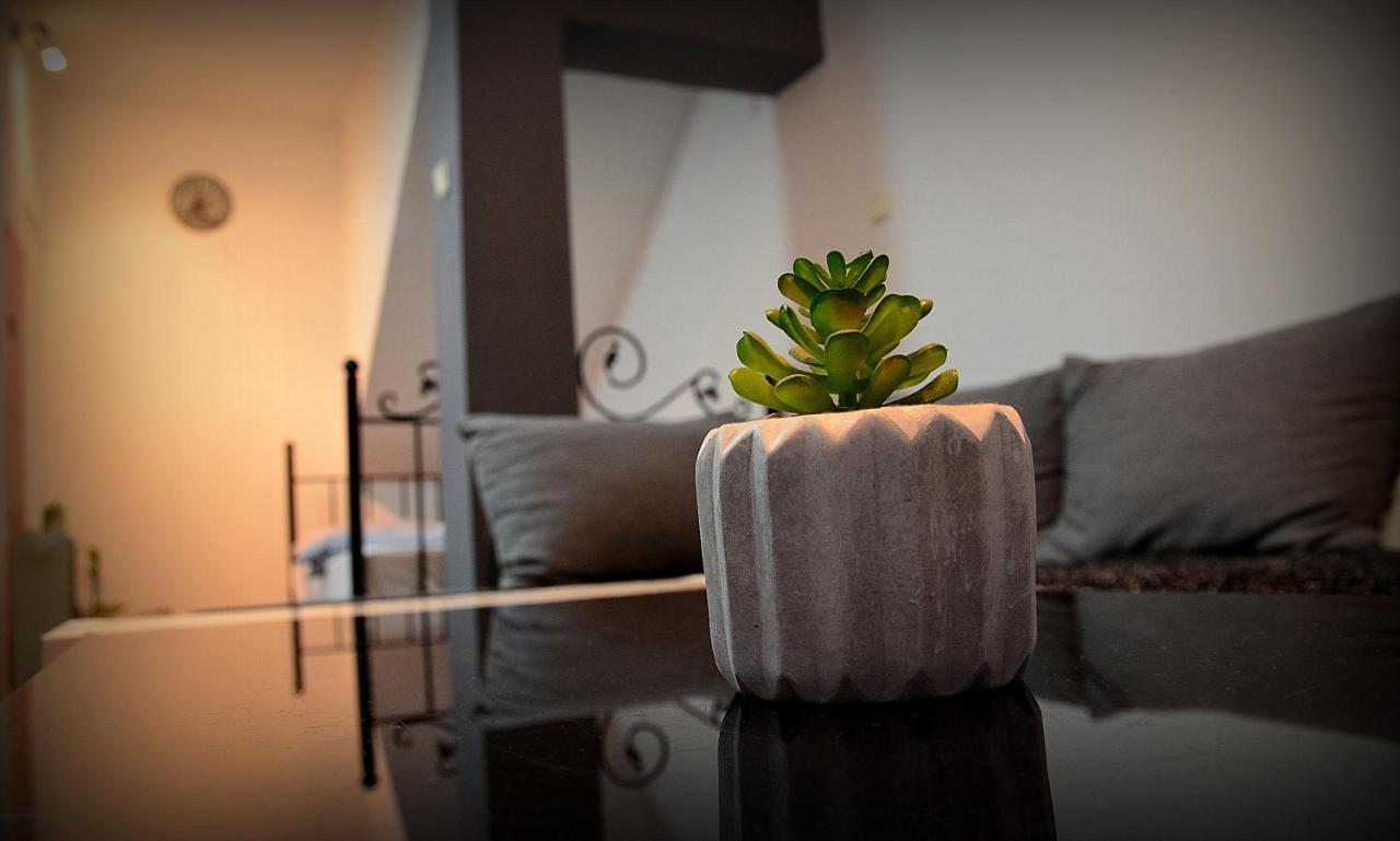 Iva Studio-Apartment Kladovo Buitenkant foto